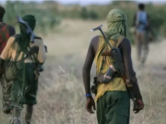 BREAKING: Unknown gunmen on rampage, kill 3 policemen in Enugu [VIDEO]