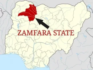 Bandits burn shops, rustle livestock in Zamfara reprisal attack