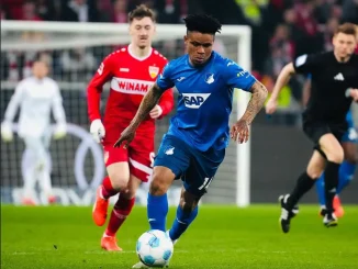 Bundesliga: Orban vows to help Hoffenheim escape relegation