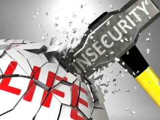 Group Raises Alarm Over Rising Insecurity In South-West, Calls For Urgent Action