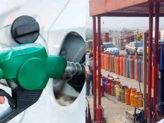 How Petrol Price Cuts Are Driving Down The Cost Of Cooking Gas In Nigeria – IPMAN