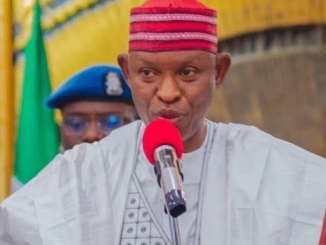Kano Enacts Law To Protect Forest Resources