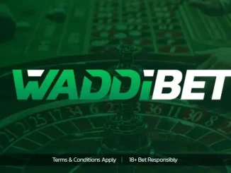 Livescore bet login surges in popularity with Waddibet’s launch