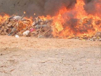 NDLEA Destroys 1.6 Million kg Of Illicit Drugs Seized In Lagos, Ogun , Oyo