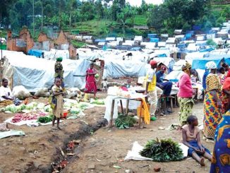 NEMA raises alarm over rising social vices in Borno IDP camp