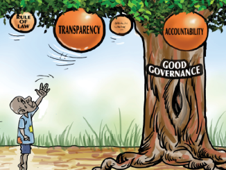 Nigeria Needs A Functional State