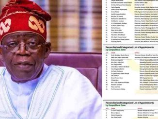 “No bias in Tinubu’s appointments: 71 northerners, 63 southerners so far” - Presidency