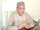 No one becomes president without Northern support — Baba-Ahmed