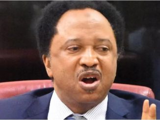 'Violent Protest In The North Was An Attempt To Overthrow Tinubu, Money, Flags Were Shared' - Shehu Sani Reveals