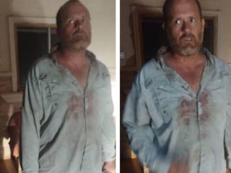 Police, Military, Hunters Storm Kidnappers Den, Rescue Foreign National In Taraba