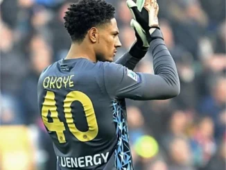 Serie A: Okoye wants Udinese to end losing streak