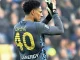 Serie A: Okoye wants Udinese to end losing streak