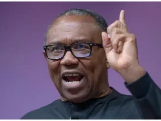 Stop The Lies, Democracy Doesn't Exist In Nigeria - Peter Obi