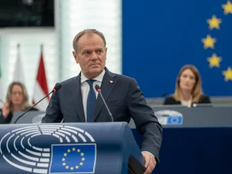Tariffs: We'll endure - Poland calls for calm amid global stock market plunge