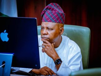 VP Shettima Rallies Global Support For Nigeria’s HCD 2.0 Strategy