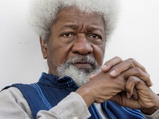 Soyinka Reacts To Killing Of Harira Jubril, Four Children In Anambra