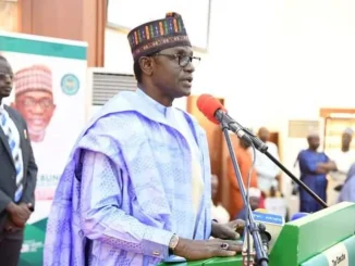 Yobe govt dismisses claims of Boko Haram invading state capital