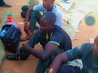 Youths hail Nigerian Army as troops rescue 4 kidnap victims in Taraba