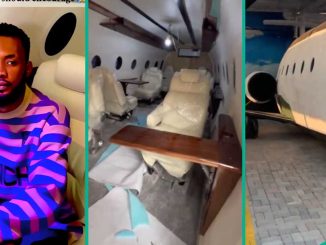 Young Men Create Handmade Private Jet Replica Using Woods and Glasses, Video Shows its Interior