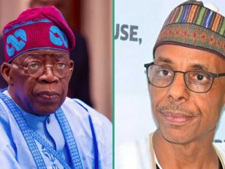 “Why I Won’t Return to Tinubu Govt,” Ex-Presidential Aide Hakeem Baba-Ahmed Speaks