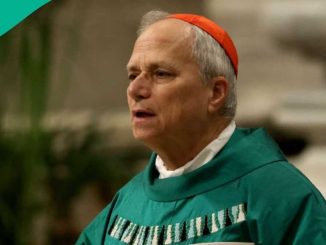 Nigerians Massively React as American Cardinal Becomes New Pope: "There Will Never Be a Black Pope"