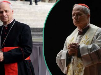 Leo XIV: Video Shows Moment New Pope is Announced as Head Of Roman Catholic Church