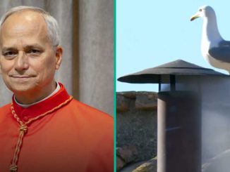 Pope Leo XIV: America's Robert Francis Prevost Elected Catholic Pope, First From The Country