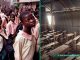Africa’s Education Emergency: Why the Clock Is Ticking Toward Extinction, by Emmanuel Ezeoka