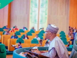 Group Tackles Conference of Speakers as House of Reps Summons Benue, Zamfara Assembly Speakers