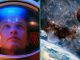 Exact Date Earth Will Be Destroyed by Sun Released by NASA After Elon Musk’s Warning