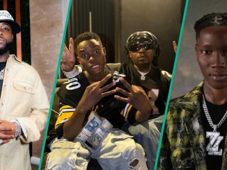 Peller: Zinoleesky, Davido, Other Popular Stars Who Have Appeared on TikToker’s Live Stream