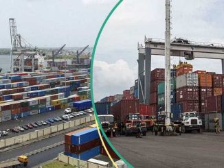 Terminal Operator Records Surge In Exports at Apapa Port, The Highest In 20 Years Of Operation