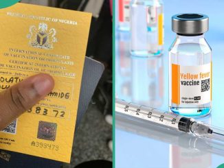Yellow Card Nigeria: all you need to know about your Yellow Fever vaccination