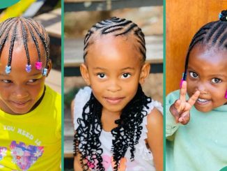 Kids' hairstyle for school: 25 ideas for natural hair