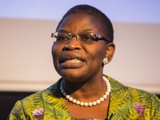 Ezekwesili Wasn't Paid To Appear Before Senate Panel — Akuwudike