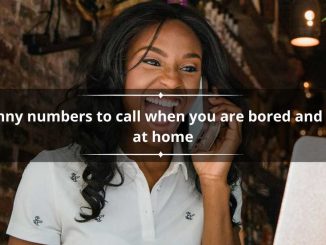 20 funny numbers to call when you are bored and stuck at home