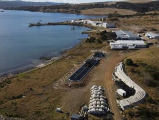 Australian seaweed farm tackles burps to help climate