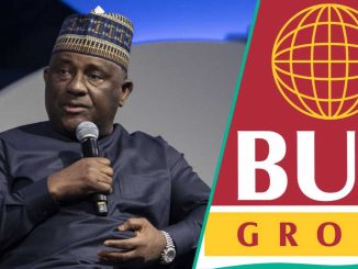 BUA Announces Job Vacancies for Nigerians in 5 Roles, 2 Departments