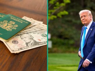 Six Nigerians Deported from the United States Over Various Offenses