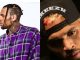 Chris Brown reportedly arrested
