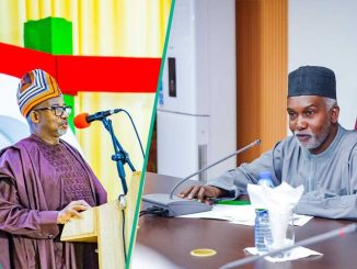 Breaking: Tinubu's Minister Mentions Governor Who Threatened to Slap Him