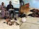 Grandmother shows up with 6 chickens to pay grandkids’ school fees after they’re sent home