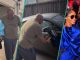 Iyabo Ojo and Pauloo Melt Hearts With Lovely Video As They Step Out for Dinner Date: “I Dey Blush”