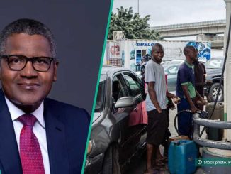 Dangote Makes Decision on Petrol Price in Nigeria After Meeting With Tinubu
