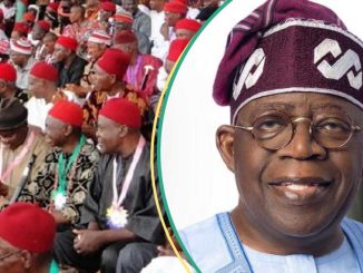 2027: Ohanaeze, Southeast Stakeholders Reject Peter Obi, Endorse Tinubu’s Election