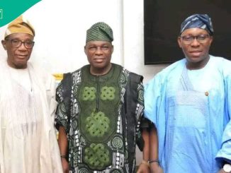 2027 Election: After 2 Governors, 3 PDP Senators Endorse Tinubu's 2nd Term Ambition