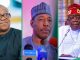 Peter Obi Sends Message to Tinubu As Nigerian Gov Accuses Politicians of Conniving with Boko Haram