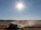 Fears for crops as drought hits northern Europe