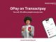 Transactworld Digital Partners With OPay To Give Nigerian Businesses Direct Access To 40 Million Wallet Users