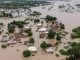 115 Bodies Recovered In Niger's Flood Disaster